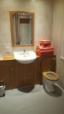 a bathroom with a sink and a toilet and a mirror at Tower Hotel in Talgarth