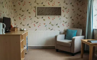 a room with a chair and a wall with bird wallpaper at Three Wells B&B in Llandrindod Wells