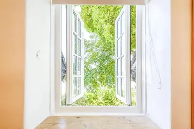 an open window with a view of a tree at Braich-Y-Celyn Lodge in Aberdyfi