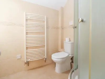 a bathroom with a toilet and a shower at Bryn Howell Stables in Trevor