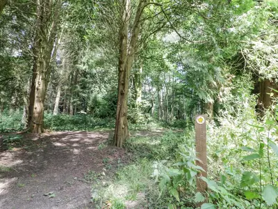 a path in a wooded area with trees at Kite's Nest in Eaton
