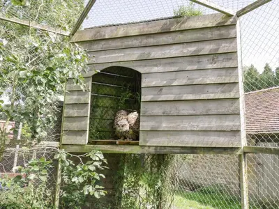a cat is sitting in a bird house at Betty's Barn in Eaton