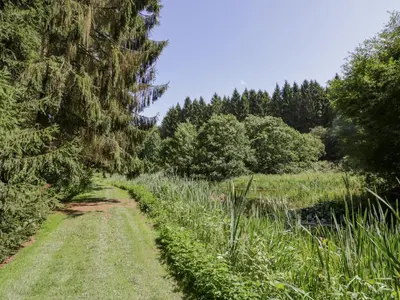 a path through a field with trees and grass at Betty's Barn in Eaton