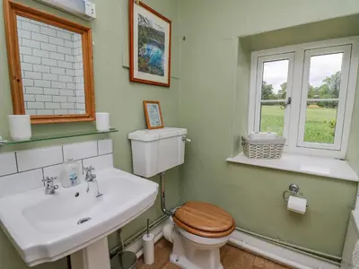 a bathroom with a toilet and a sink at Byrdir Cottage in Llanwrthwl