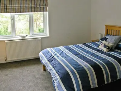 a bedroom with a blue and white bed and two windows at Llechwedd in Dolgellau