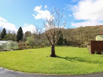 a tree in the middle of a green field at Salmon Cottage in Llanwrthwl