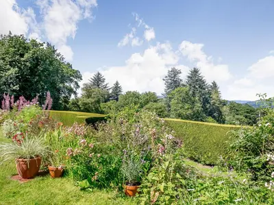 a garden with potted plants on the grass at Llety Nest in Llanfachreth