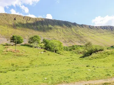 a green field with trees and a mountain at St Mary's in Tal-y-llyn