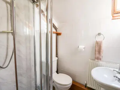 a bathroom with a shower and a toilet and a sink at Llety'r Wennol in Llanycrwys