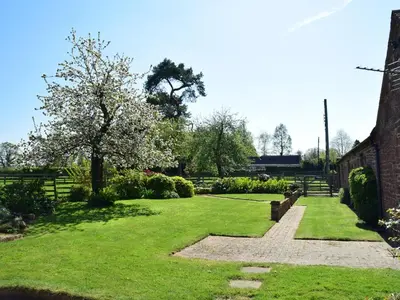 a green yard with a bench and a tree at Parrs Meadow Cottage in Pitchford