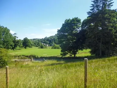a field of tall grass with a fence and trees at Tynddol Bungalow in Llanbadarn-fynydd