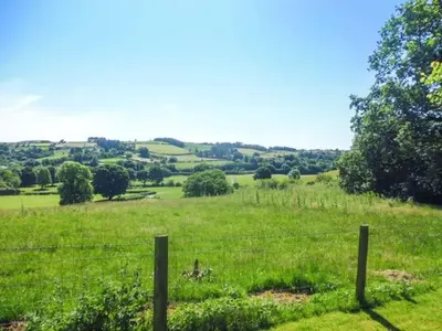 a fence in a field of green grass at Tynddol Bungalow in Llanbadarn-fynydd