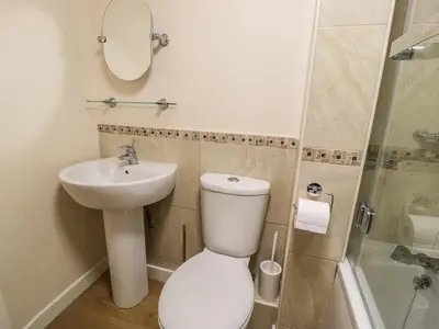 a bathroom with a toilet and a sink and a shower at Hendoll Cottage 1 in Fairbourne