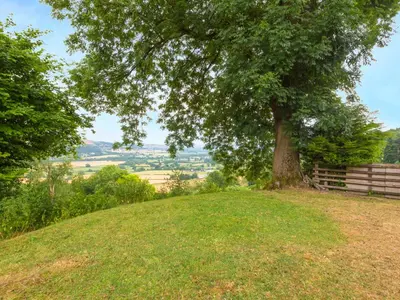 a tree sitting on top of a grassy hill at Bishop's Castle Barn in Bishops Castle
