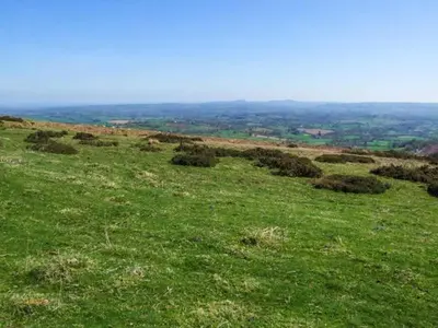 a green field with grass and trees on a hill at Harris House in Ludlow