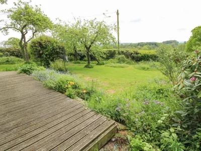 a wooden walkway leading to a garden with flowers at Hill Brow in Acton Scott