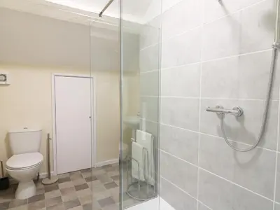a bathroom with a shower and a toilet at Dolau Farmhouse in Llanwnen