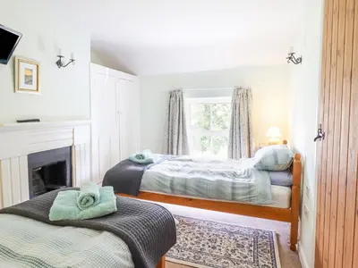 two twin beds in a room with a fireplace at Bodywen in Llangynog