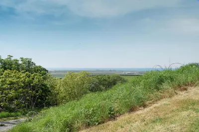 a grassy hill with trees and the ocean in the background at Y Becws in Llanbedr