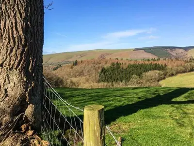 a fence next to a tree next to a field at Goosepond in Wistanstow