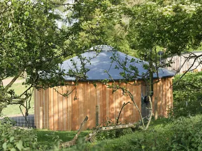 a wooden shed with a blue roof in a yard at Rolling Hills in Newcastle