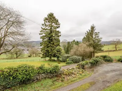a road in the middle of a field with trees at Hen Ysgubor Cottage in Bala