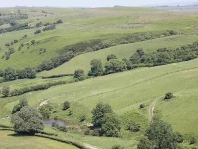 an aerial view of a green field with a pond at 1 Beacon View Barn in Felindre