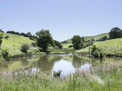 a river in the middle of a grassy field at 1 Beacon View Barn in Felindre