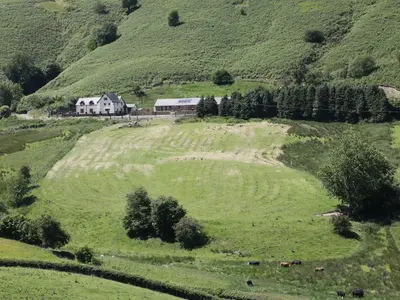 a house in the middle of a field with cows at 1 Beacon View Barn in Felindre