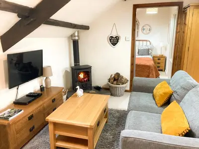 a living room with a couch and a fireplace at Coedmor Cottages in Lampeter