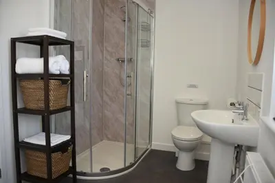 a bathroom with a shower and a toilet and a sink at Maen Llwyd in Llanyre