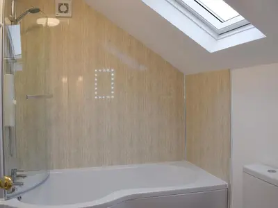 a bathroom with a toilet and a sink and a skylight at Delfryn in Llanarth