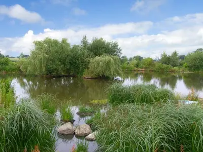 a river with some rocks and grass and trees at The Coach House in Shrewsbury