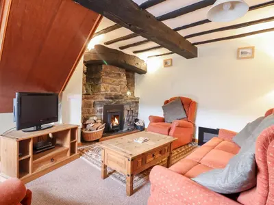 a living room with a tv and a fireplace at Y Bwthyn in Llanbedr