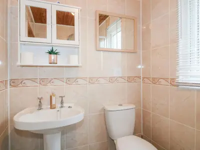 a bathroom with a toilet and a sink at The Log Cabin in Adforton