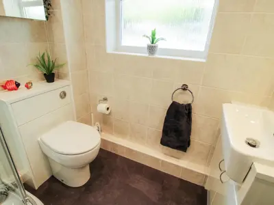 a bathroom with a toilet and a sink at Inglenook in Ludlow