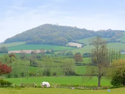 two sheep grazing in a green field with a mountain at The Granary in Craven Arms