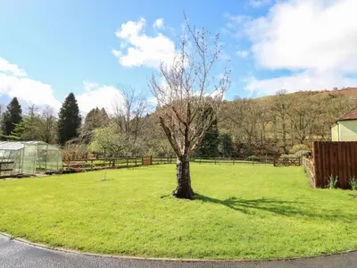 a tree in the middle of a green field at Trout Cottage in Llandrindod Wells