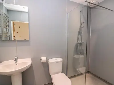 a bathroom with a toilet and a sink and a shower at The Farmhouse in Capel Bangor