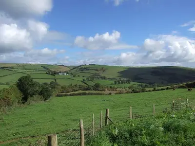 a lush green field with a fence in the foreground at Rose Cottage in Winforton