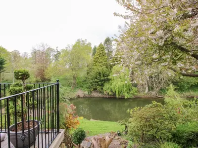 a view of a pond in a garden at Riverdale in Shrewsbury