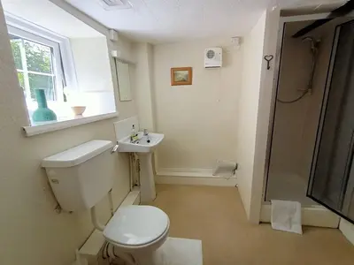 a bathroom with a toilet and a sink and a window at The Harp Inn in Glasbury