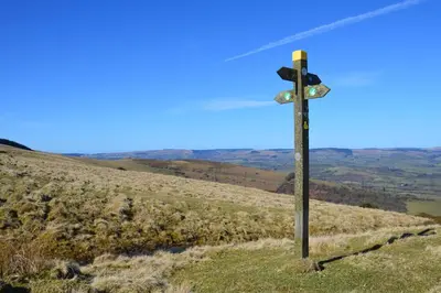a wooden cross on the side of a hill at The Owls in Builth Wells