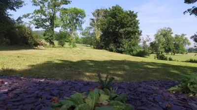 a grassy field with a large shadow of a tree at Plas Y Dderwen Bed and Breakfast in Aberystwyth