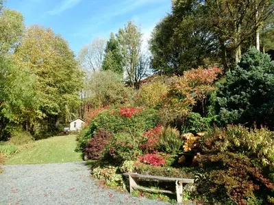 a garden with a bench on a gravel road at Kilsby Cottage in Llanwrtyd Wells