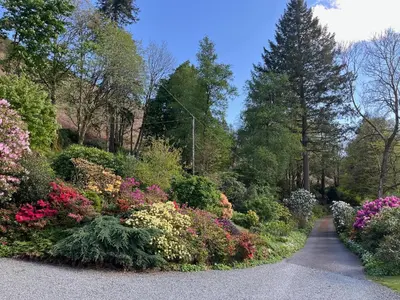 a garden with colorful flowers and trees on a road at Kilsby Cottage in Llanwrtyd Wells