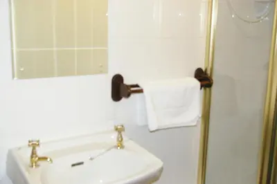 a bathroom with a sink and a mirror and a shower at Plas Coch Hotel Ltd in Bala