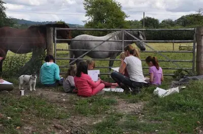 a group of girls sitting in front of a fence looking at a horse at Mid Wales Arts B&B in Caersws
