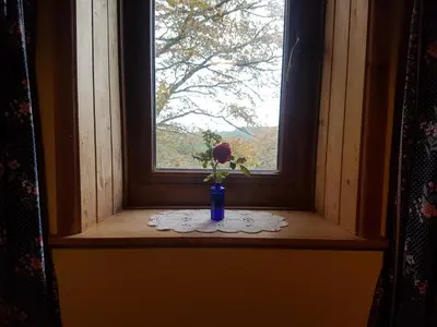 a flower in a blue vase sitting in a window at Welshhomestead in Tregaron