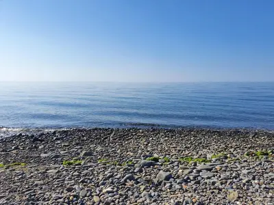 a rocky beach with the ocean in the background at Welshhomestead in Tregaron